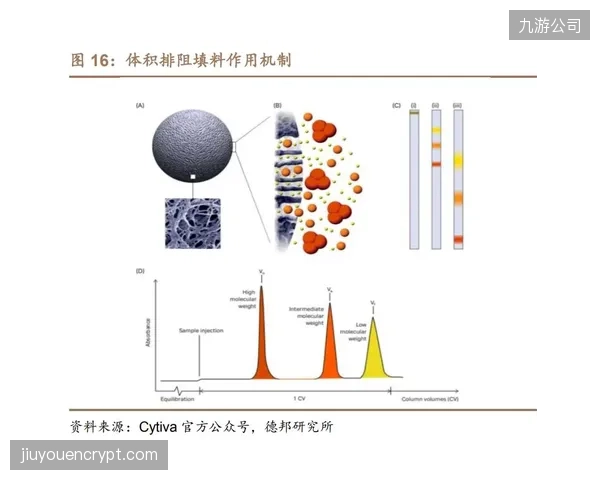 大量资金涌入中试平台建设，但作为其效能模型基础的“运动生物力学”等底层研究却被长期忽视